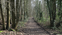 Le Houlme (Chemin)