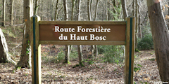 Forêt Verte (Panneau 1)
