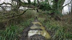 Sainte Honorine des Pertes (Chemin 1)