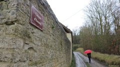 Commes (Chemin 1)