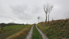 Commes (Chemin 3)