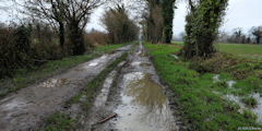 Formigny (Chemin 1)
