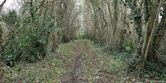 Louvières (Chemin)