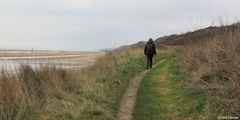 Colleville sur Mer (Sentier 2)