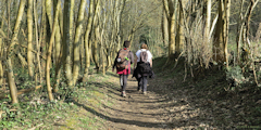 Amfreville la Mi Voie (Chemin 2)