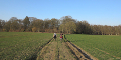 Mesnil Esnard (Chemin)