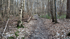 Saint Léger du Bourg Denis (Chemin 1)