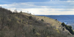 Belbeuf (Côte 3)