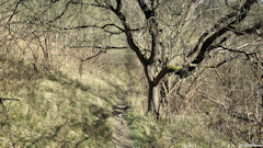 Belbeuf (Sentier)