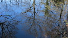 Alizay (Reflet)