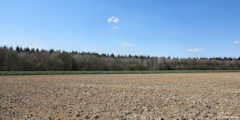 Alizay (Plaine)