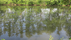 Val de Reuil (Reflet)