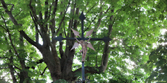 Saint Pierre du Vauvray (Croix)