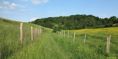 Saint Pierre du Vauvray (Chemin)