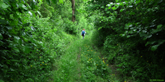 Acquigny (Chemin 1)