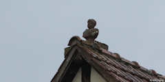 Amfreville sur Iton (Epi de Faîtage)