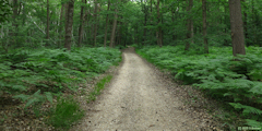 Acquigny (Chemin)