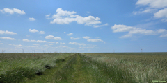 Longueil (Chemin)