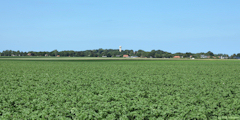 Quiberville (Château d'Eau)