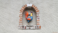Normanville (Coq)