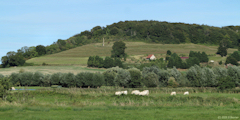 Arques la Bataille (Pyramide 3)