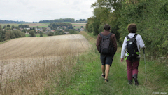 Saint Aubin le Cauf (Chemin)
