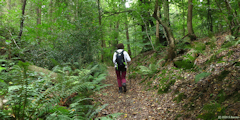 Massif de Pimont (Chemin)