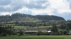Saint Vaast d'Equiqueville (Bois Dimont)
