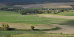 Osmoy Saint Valery (Route 1)