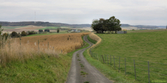 Bures en Bray (Chemin 1)