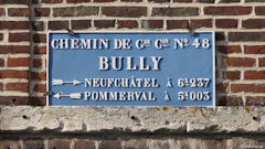 Bully (Plaque 2)
