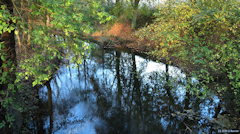Mesnières en Bray (Reflets)