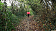 Neuville Ferrières (Chemin)