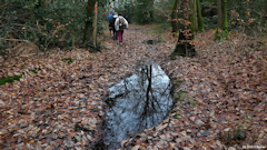 Beaubec la Rosière (Chemin 1)