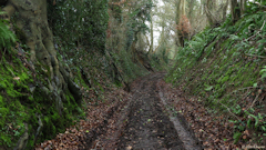 Bailly en Rivière (Chemin 1)