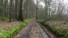 Bailly en Rivière (Chemin 2)