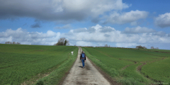 La Ferté Saint Samson (Route 1)