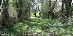 Brémontier Merval (Chemin)