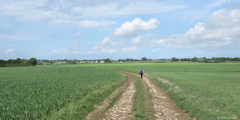 Hannaches (Chemin)