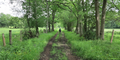 Blacourt (Chemin)