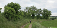 Senantes (Chemin)