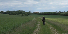Villembray (Chemin)