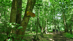 Lachapelle aux Pots (Chemin)