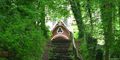 Bois de Cise (Chemin 1)