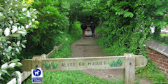 Bois de Cise (Allée)