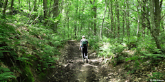 Savignies (Chemin)