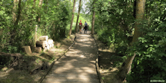 Le Tréport (Marais 1)