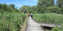 Le Tréport (Marais 3)