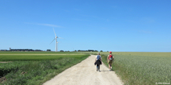 Flocques (Chemin)