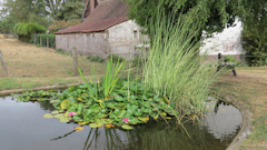 Auneuil (Bassin)